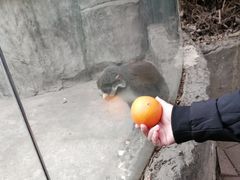 -南昌动物园