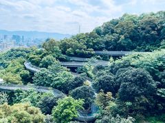 -福道