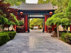 -大槐树寻根祭祖园