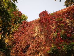 -天津盘山风景名胜区