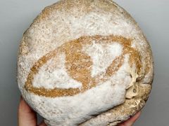 -七叔是岛民(花基新村店)