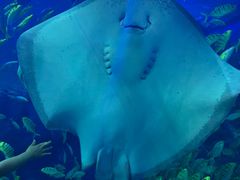 -成都浩海立方海洋公园