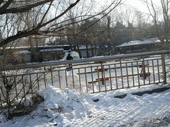 -大鹅岛绿色生态美食园