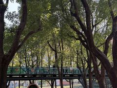 -徐家汇源景区-衡山公园