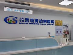 -北京观赏动物医院·24小时大型综合·猫专科·异宠专科