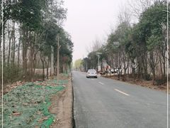 -汉长安城未央宫国家考古遗址公园