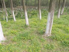 -陶祖圣境风景区