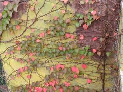 -大嶝英雄三岛战地观光园