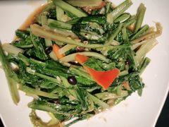 -高第街56号餐厅(泰安万达店)