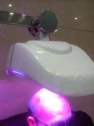 -碧莲盛·不剃发植发