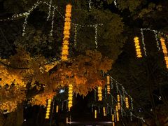 -横店影视城梦幻谷园区