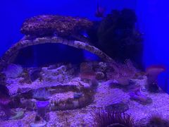 -青岛海底世界-水族馆
