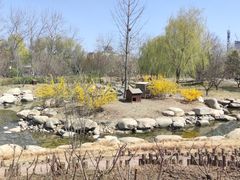 -莲花池公园