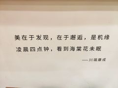 -猫的天空之城概念书店(苏州平江店)