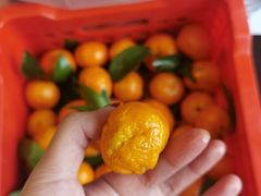 -鲜力达果品批发直销(无锡保利香槟店)