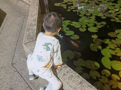 -華僑飯店中餐厅