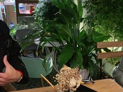 -蜜舍咖啡(洋人街店)