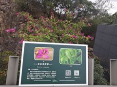 -福道