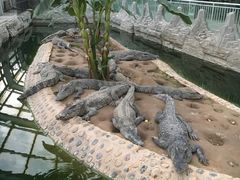 -石家庄市动物园