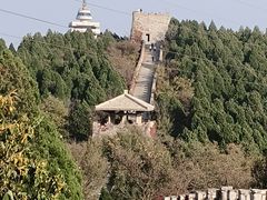 -原山国家森林公园