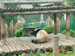 -大连森林动物园