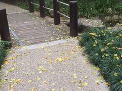-新湖明珠城