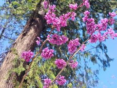 -天台山赤城山景区