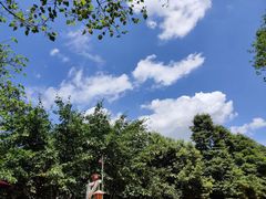 -重庆海昌加勒比海水世界