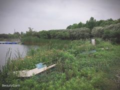 -上海都市菜园