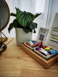 -盼兮·日式美睫沙龙