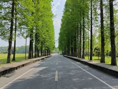 -青城山