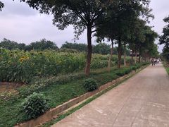-光明农场大观园
