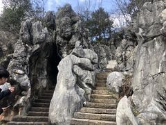-千岛湖石林