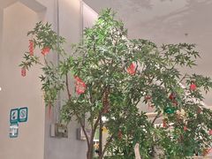 -Aqua Oasis 水天堂(太湖中心mall店)