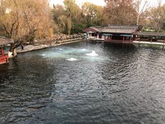 -百脉泉景区