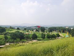 -密云玫瑰情园