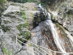 -东天目山风景区