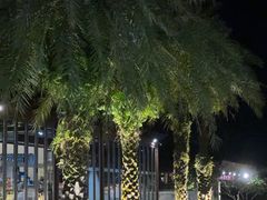 -北纬29度大堂吧-重庆富力艾美酒店-近江岸天街