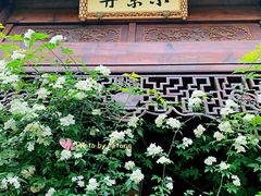 -芥子园