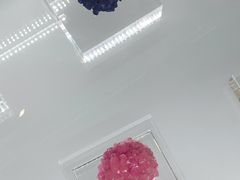 -中国地质博物馆