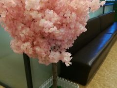 -后宫私房菜(汇客美食娱乐广场店)