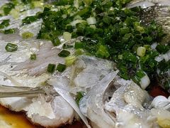 -阿巧茶庄