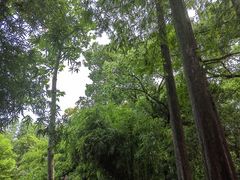 -汇龙潭