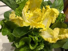 -古乐牛香·鲜牛肉牛杂火锅(新区店)