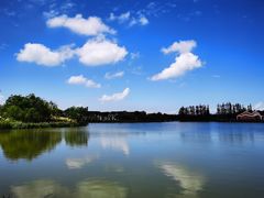 -上海长兴岛郊野公园