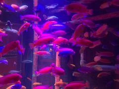 -沈阳海洋探索中心