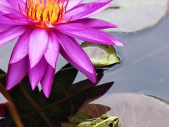 -国家植物园南园