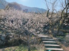 -广州市流溪河国家森林公园