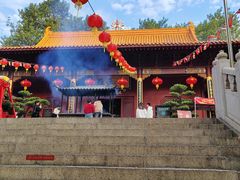 -深圳仙湖植物园