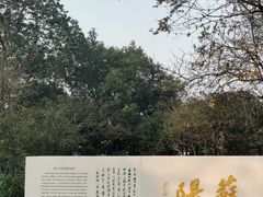 -苏堤停车场